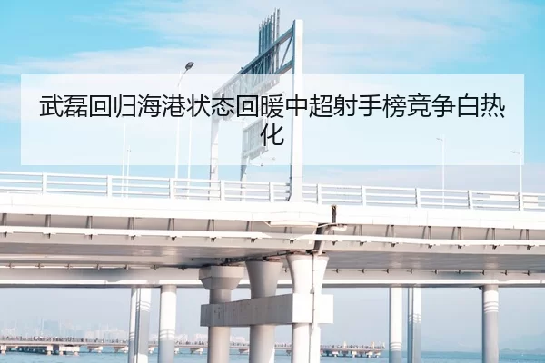 武磊回归海港状态回暖中超射手榜竞争白热化